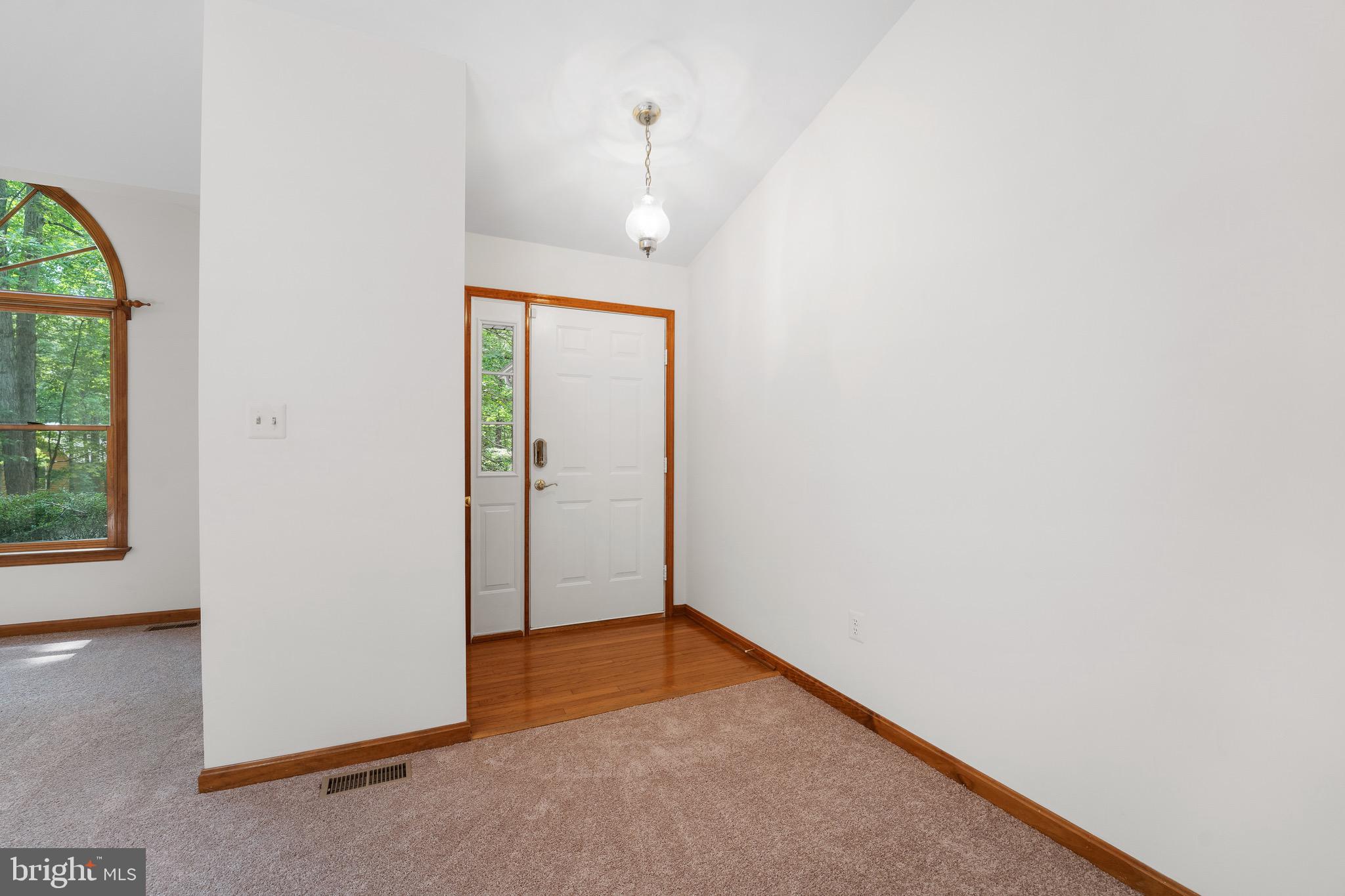 LAKE OF THE WOODS - Residential