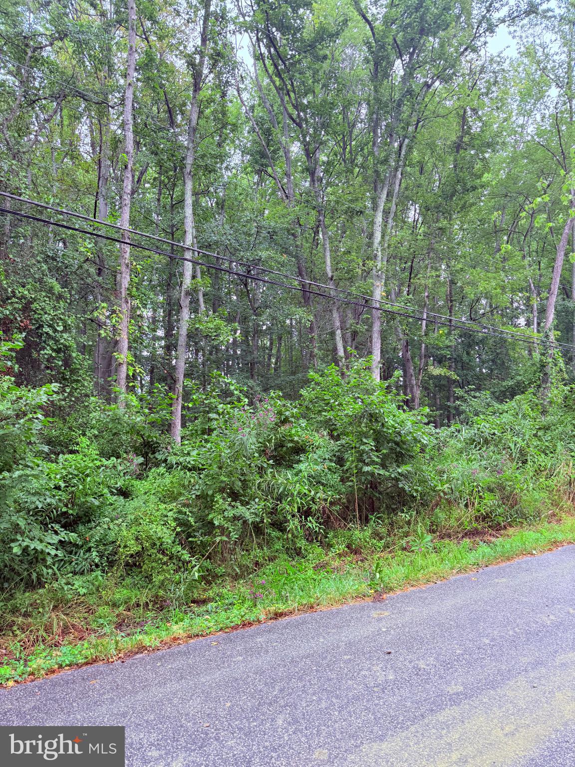 0 EVELYN GINGELL AVENUE