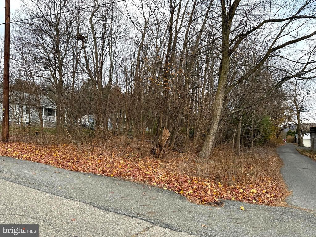 Photo of 0 Maple Street, LYKENS, PA 17048 (MLS # PADA2051736)