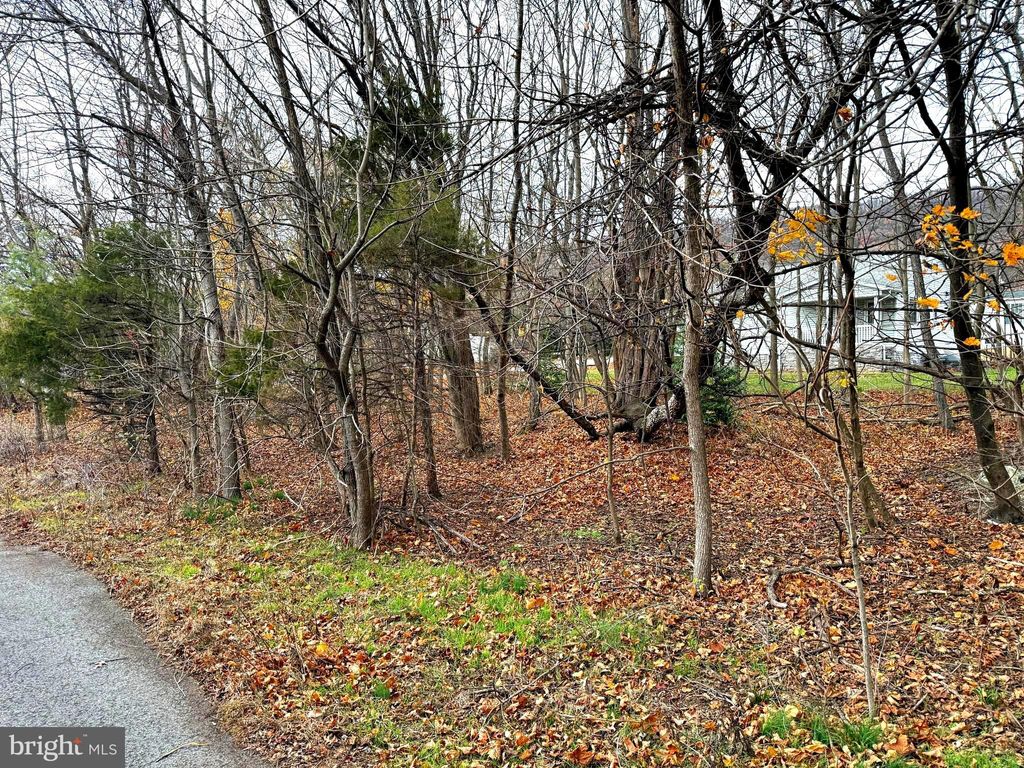 Photo of 0 Maple Street, LYKENS, PA 17048 (MLS # PADA2051736)