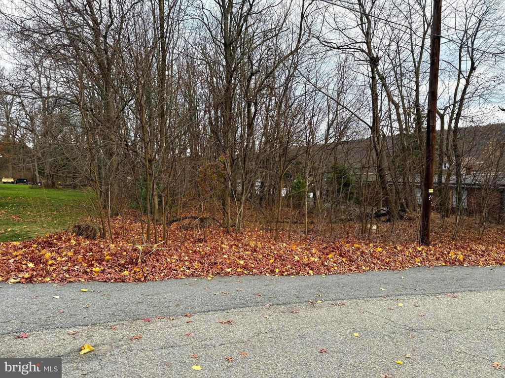 Photo of 0 Maple Street, LYKENS, PA 17048 (MLS # PADA2051736)