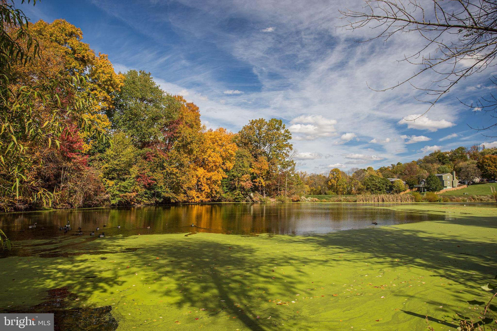 LAKE LINGANORE OAKDALE - Residential