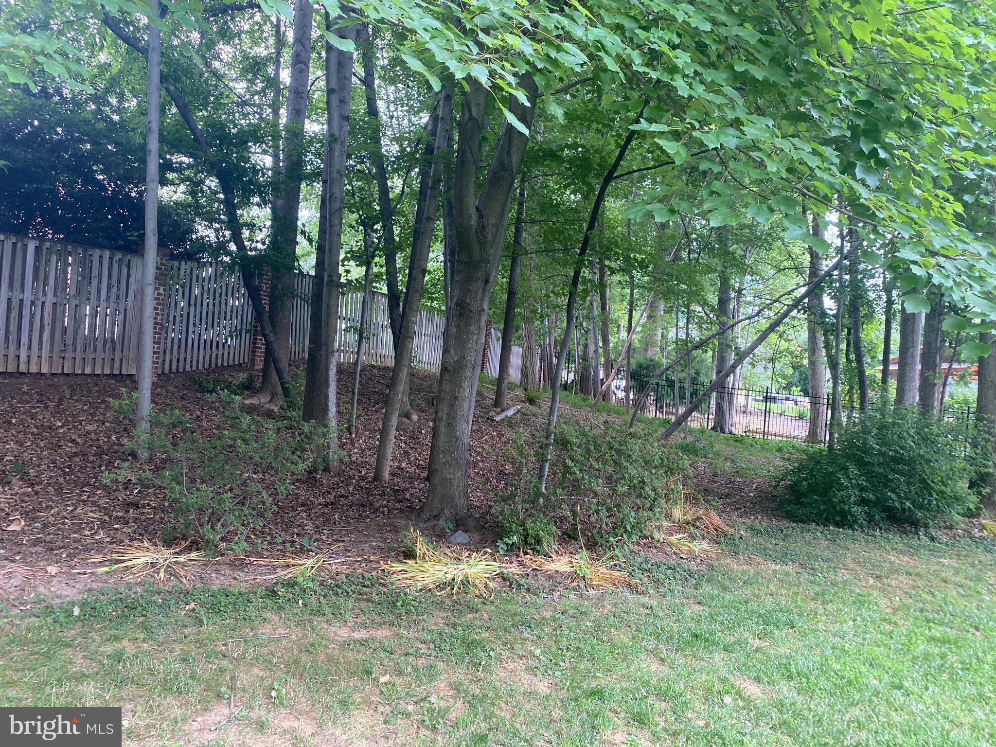 TYSONS EXECUTIVE VILLAGE - Residential Lease