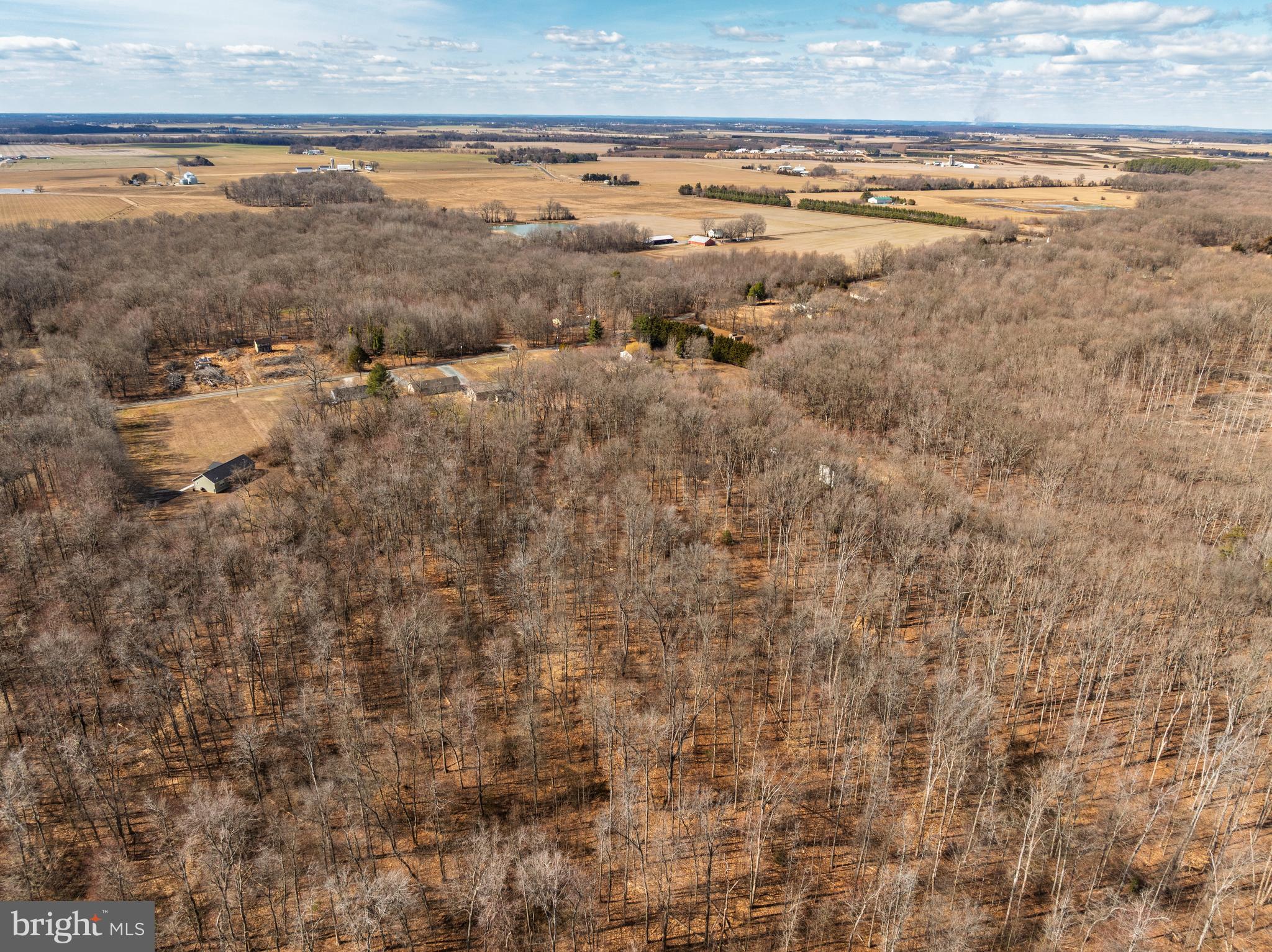 10669 CHESTERVILLE FOREST ROAD