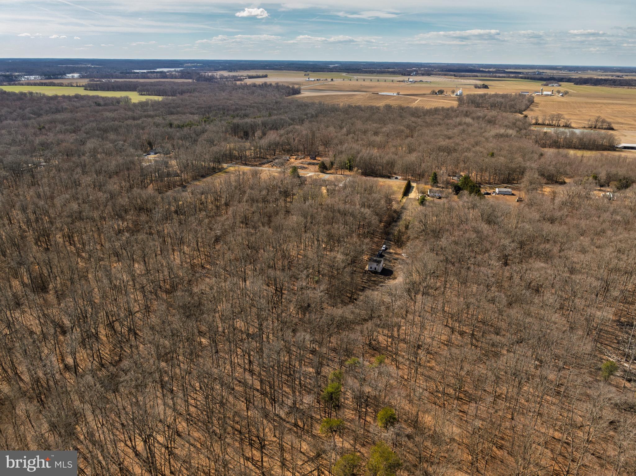 10669 CHESTERVILLE FOREST ROAD