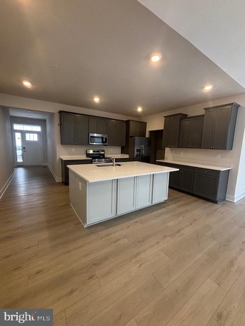 10167 SHENANDOAH LANE