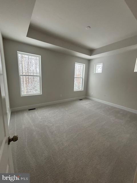 10167 SHENANDOAH LANE