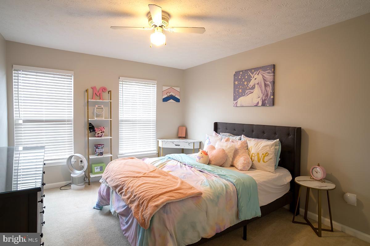 WILLIAMS KNOLL - Residential