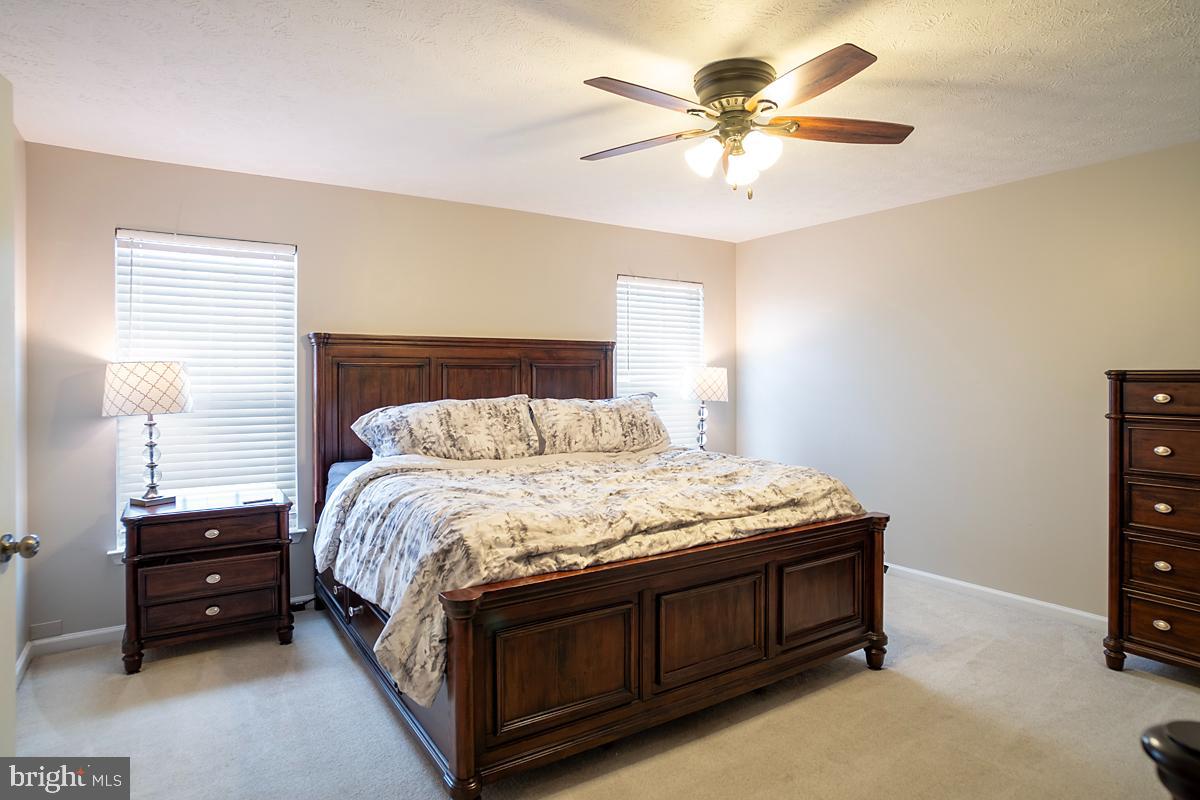 WILLIAMS KNOLL - Residential