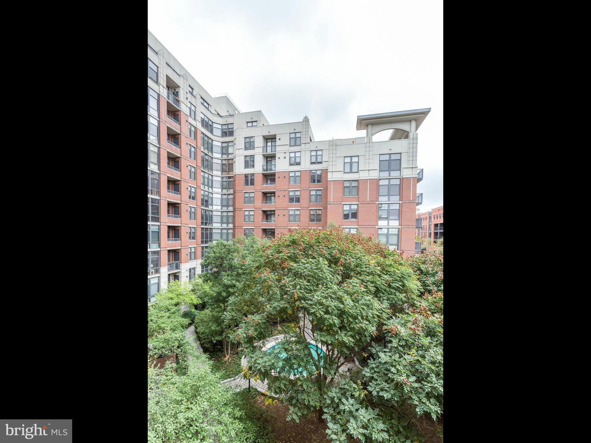 CLARENDON 1021 - Residential
