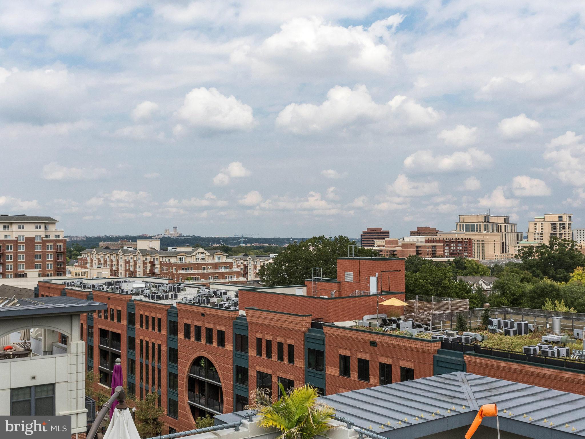 CLARENDON 1021 - Residential