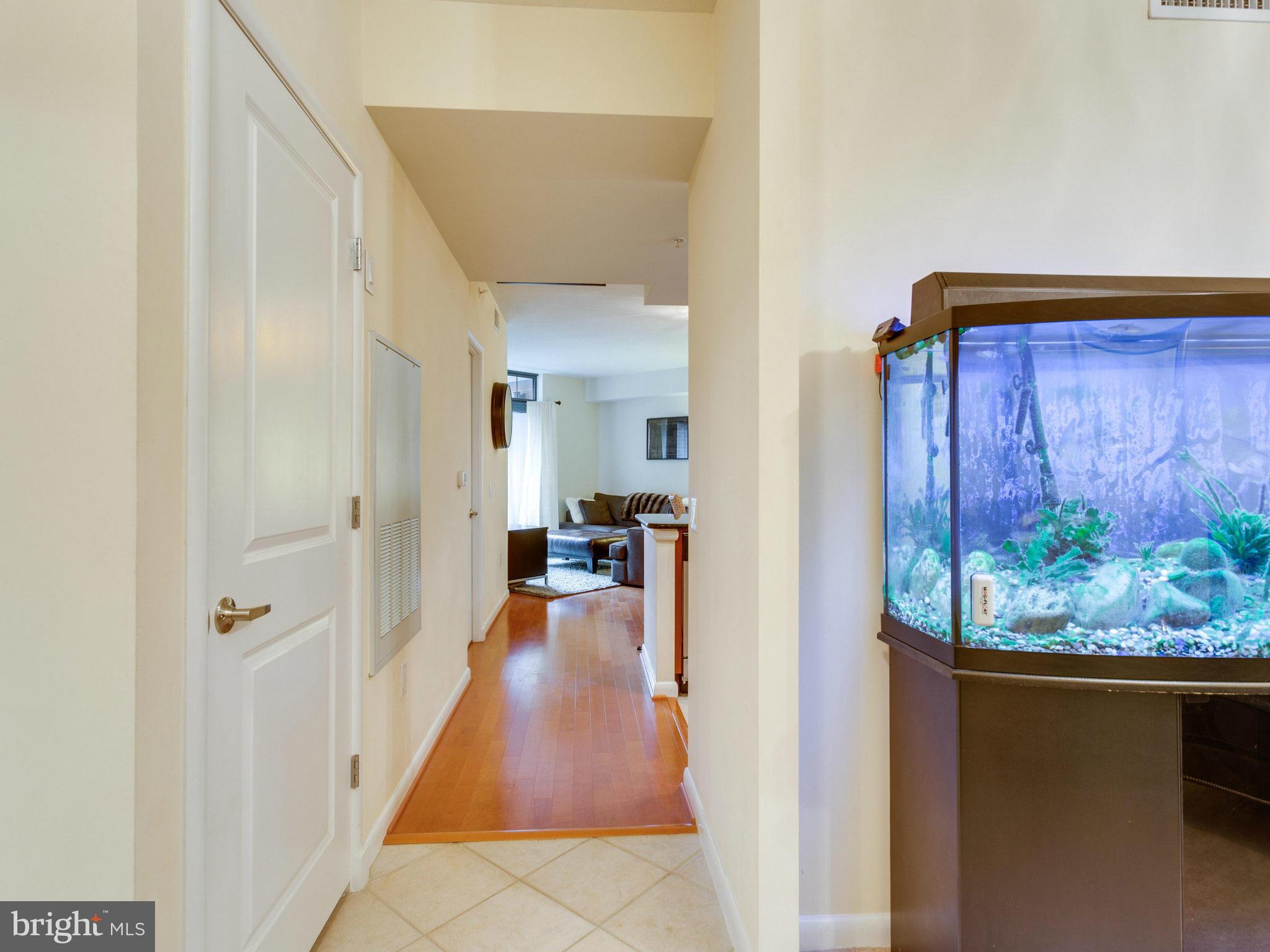 CLARENDON 1021 - Residential