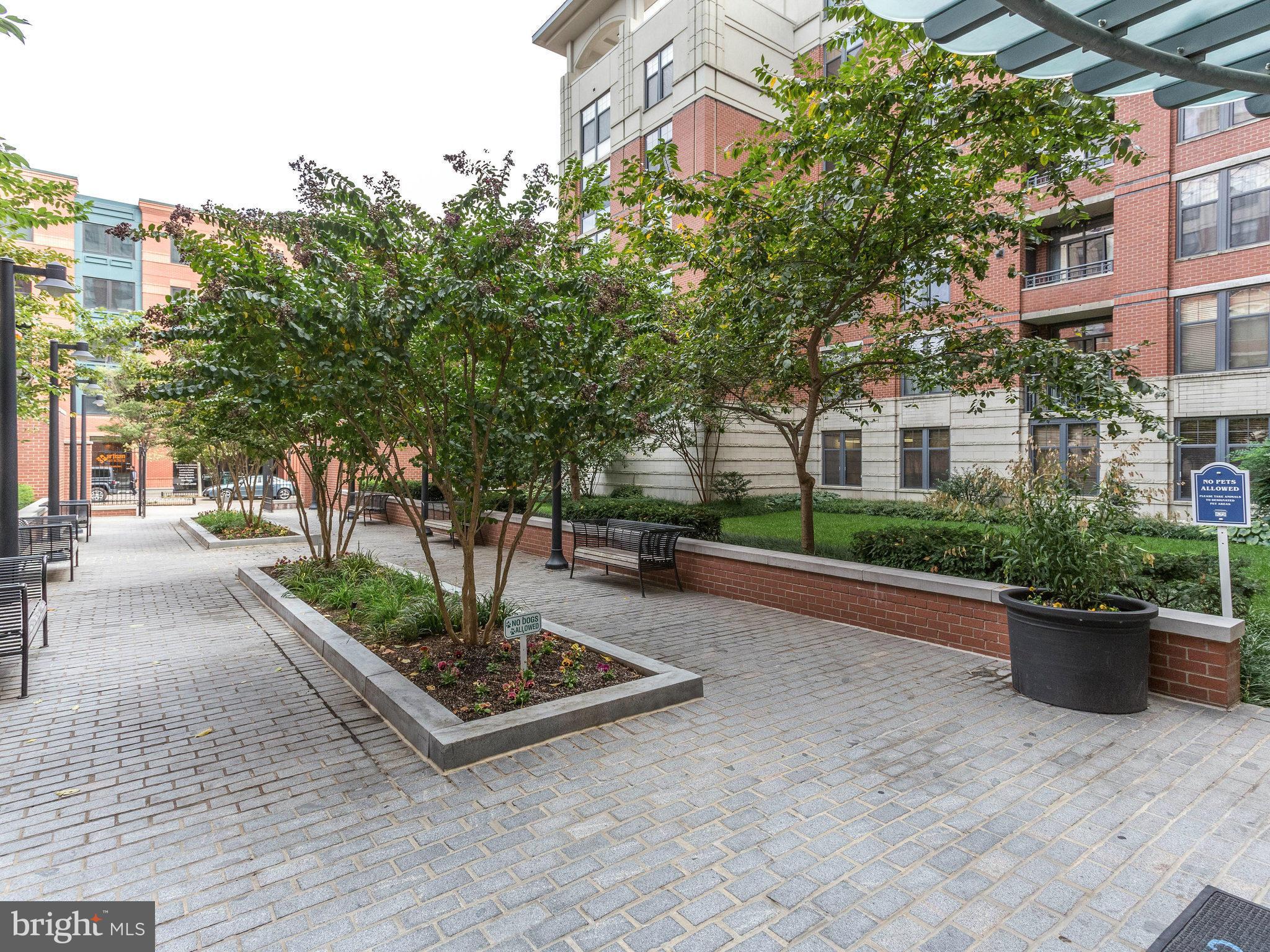 CLARENDON 1021 - Residential