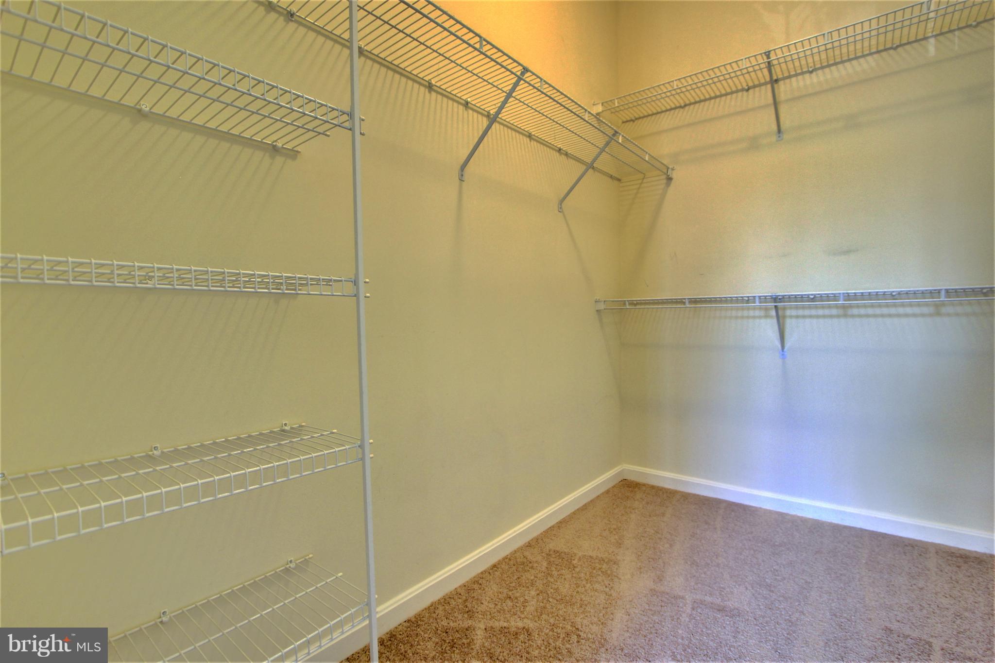 THE WHITNEY TOWN CENTER - Residential Lease