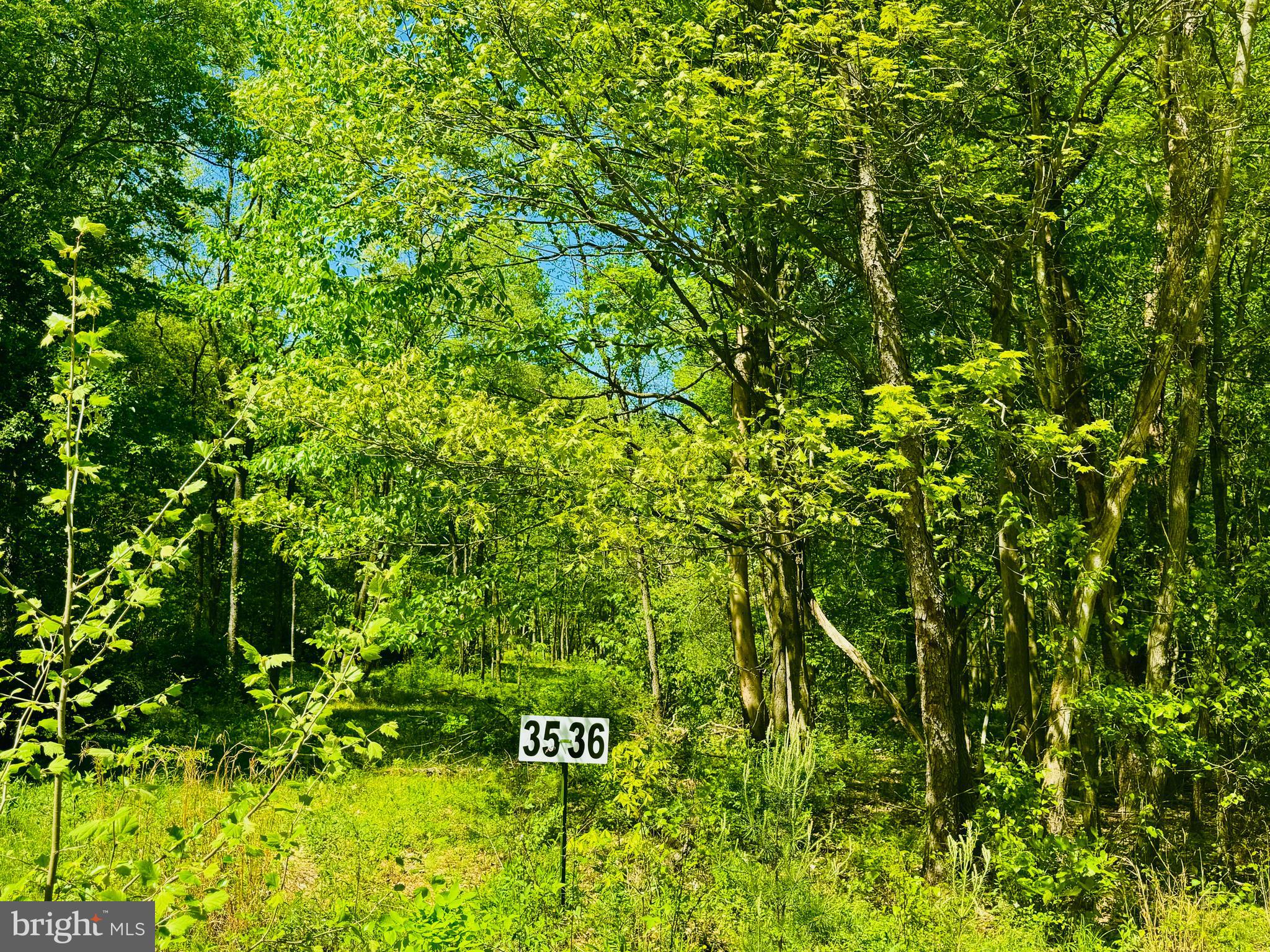 Lot: 36 PARADISE POINT