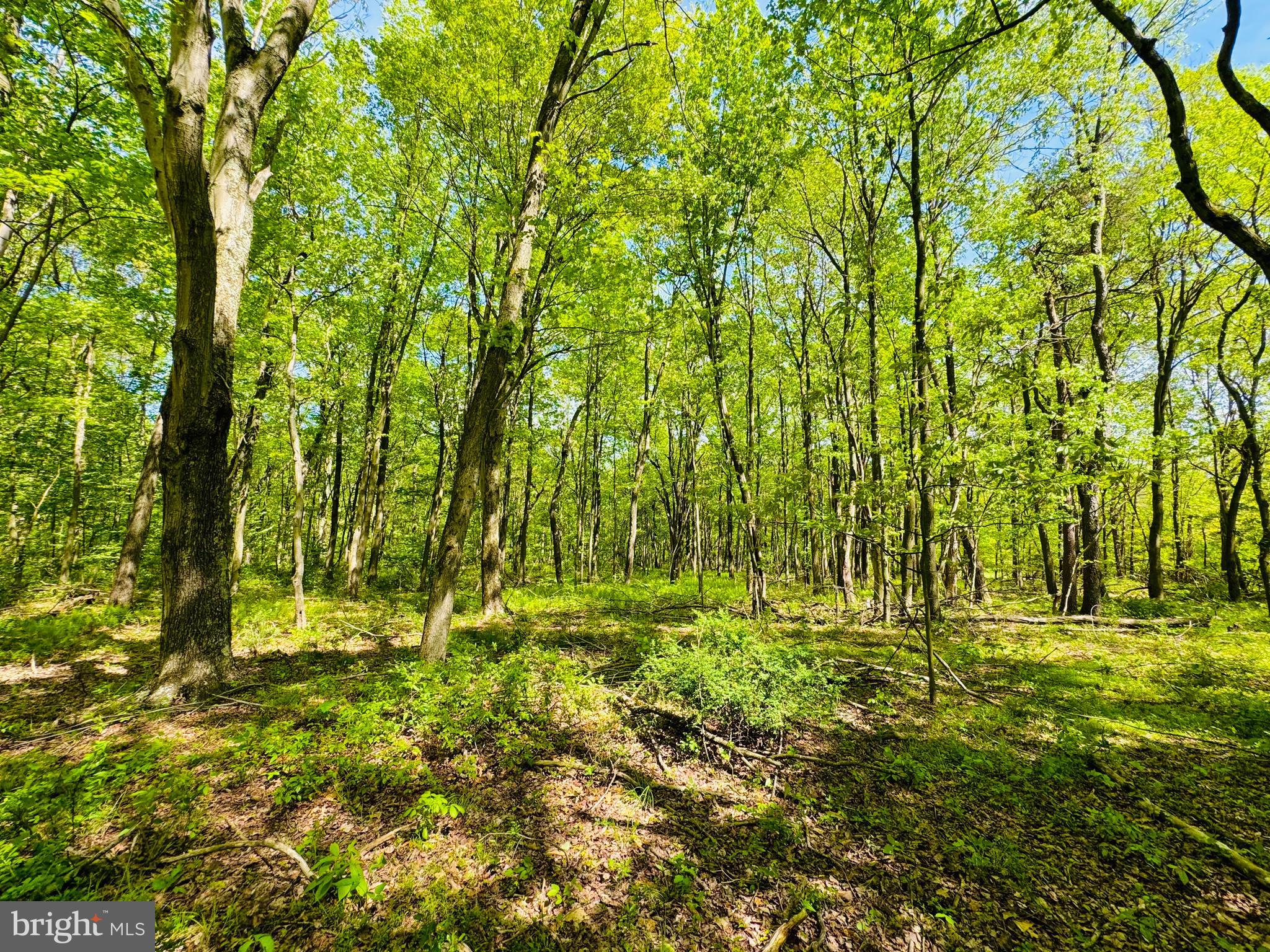 Lot: 36 PARADISE POINT