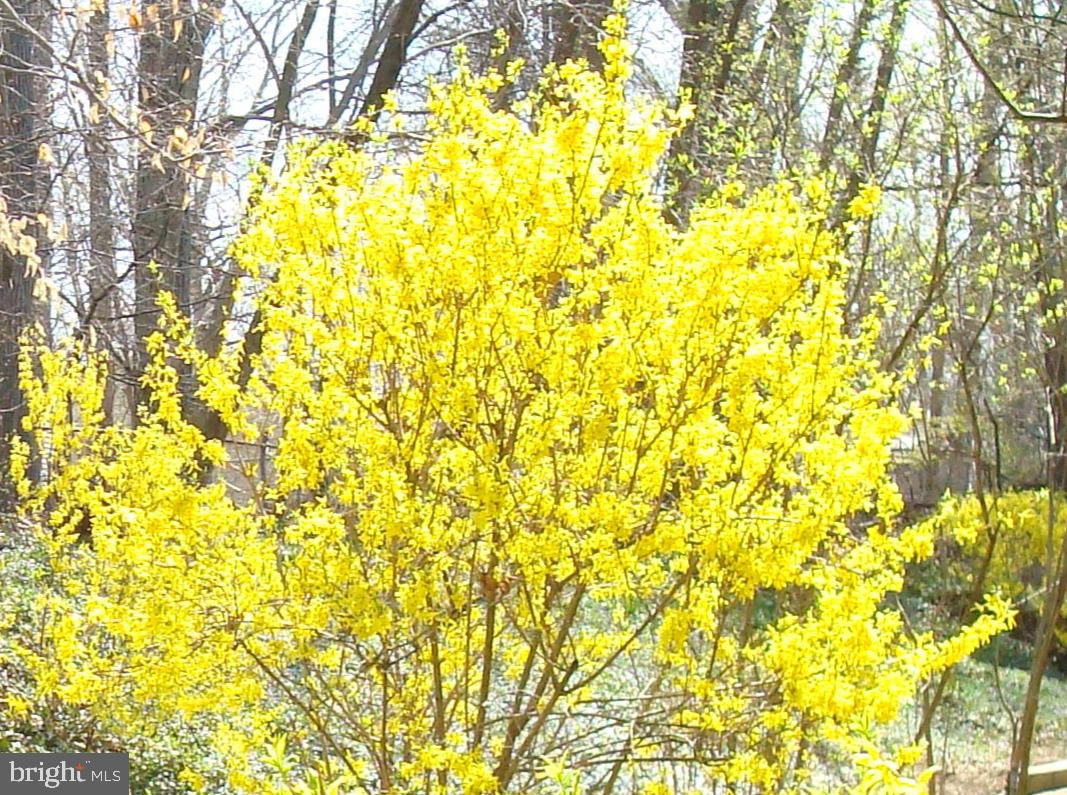 KEENE MILL WOODS - Residential