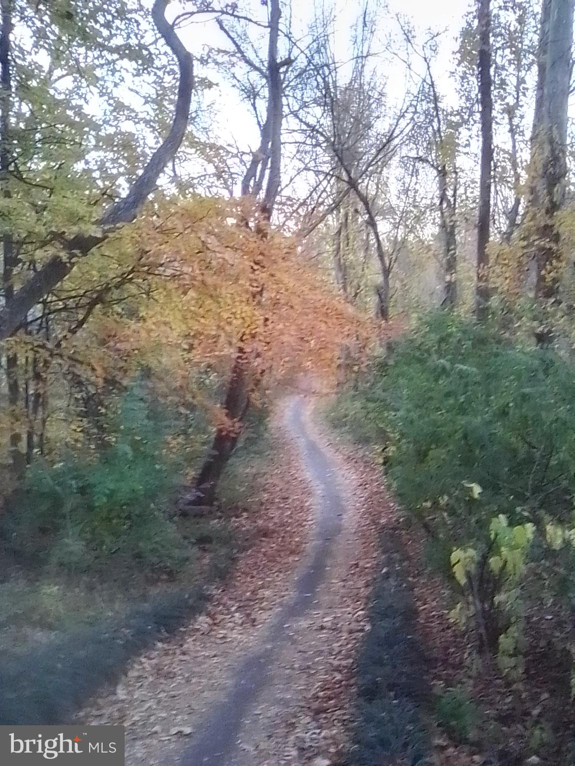 KEENE MILL WOODS - Residential