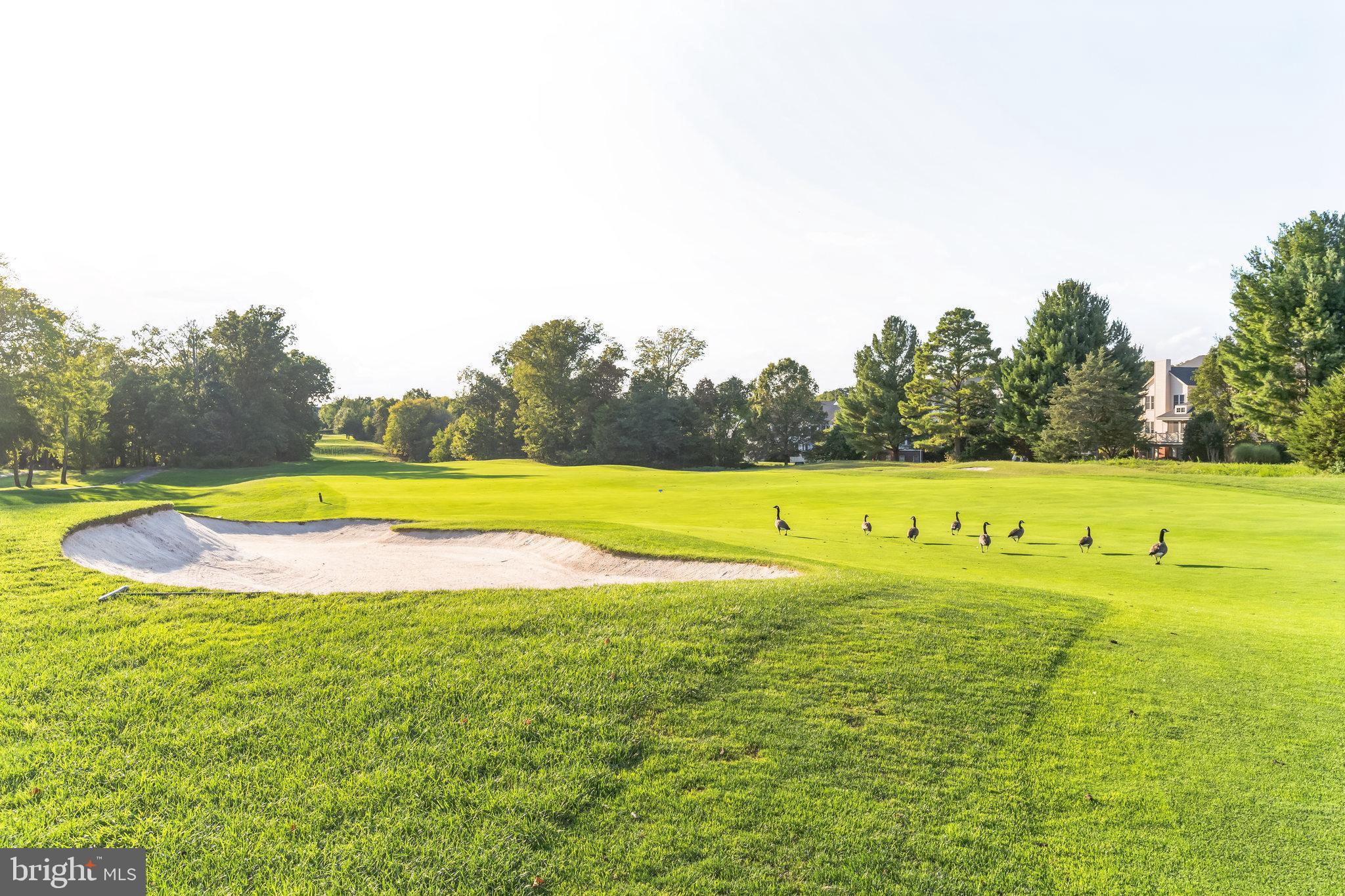 PIEDMONT - Residential