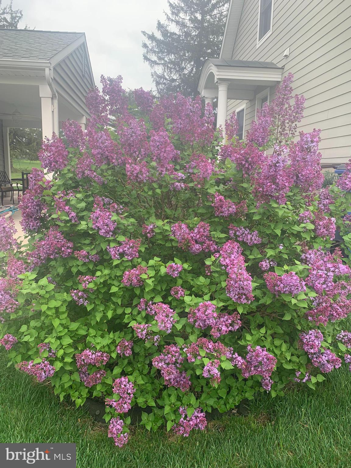 50 FAIRWAY DRIVE