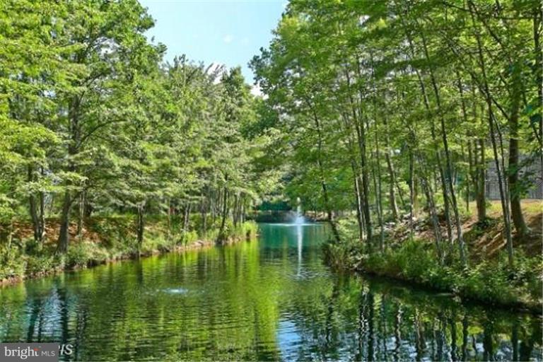 ROTONDA - Residential Lease