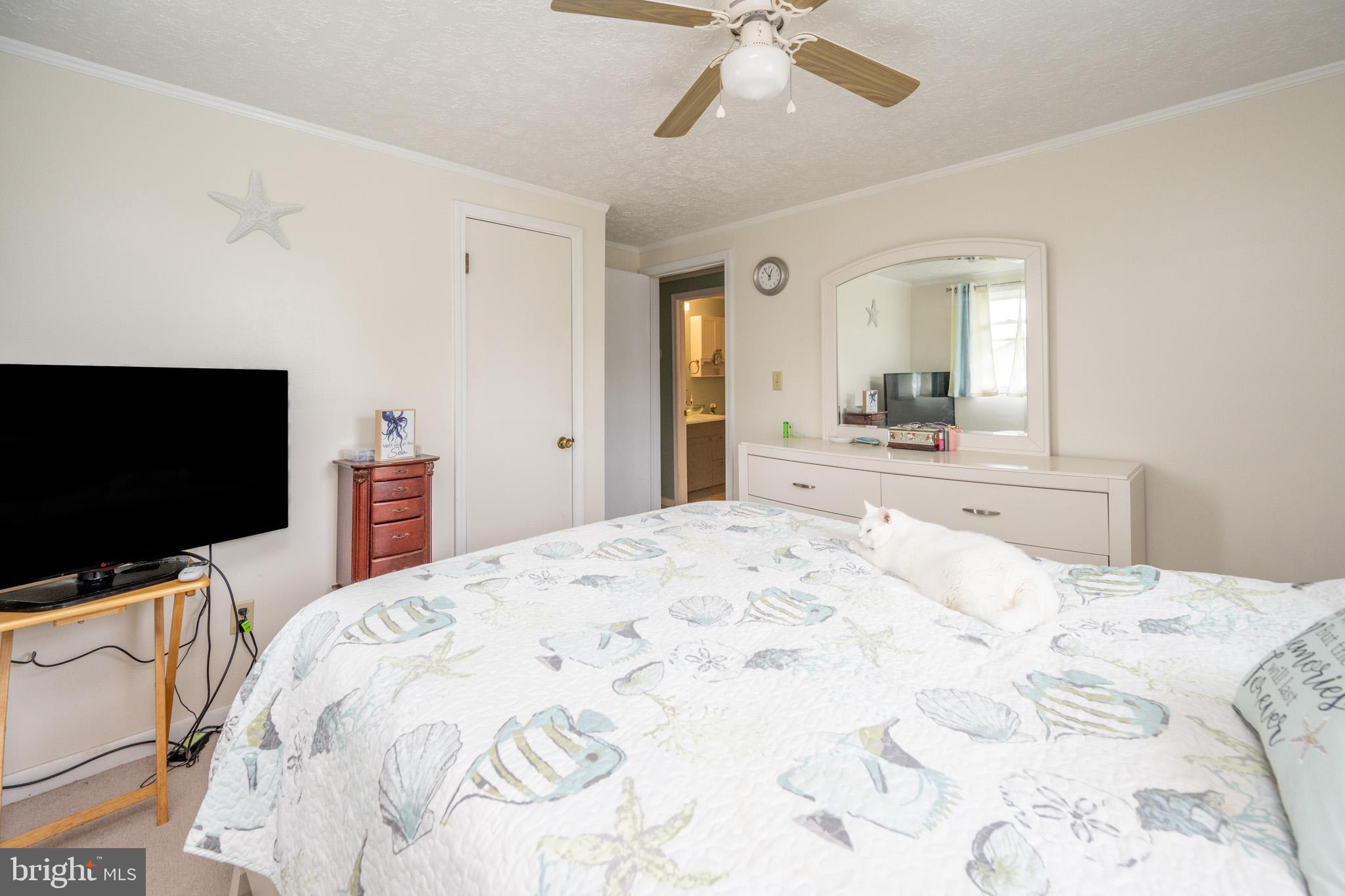 MOUNTAIN LAKE PARK - Residential