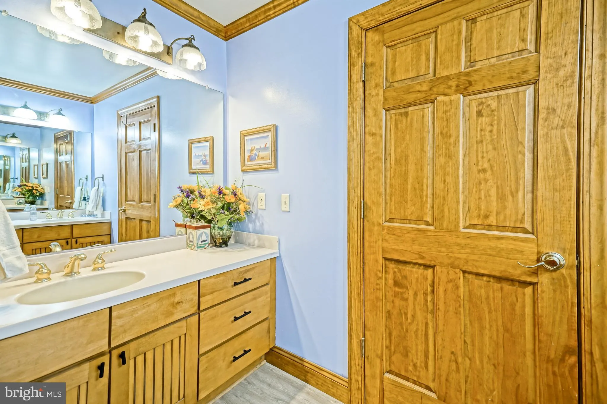 Dagsboro, Delaware 19939, United States, 4 Bedrooms Bedrooms, ,4 BathroomsBathrooms,Residential,Active,164163