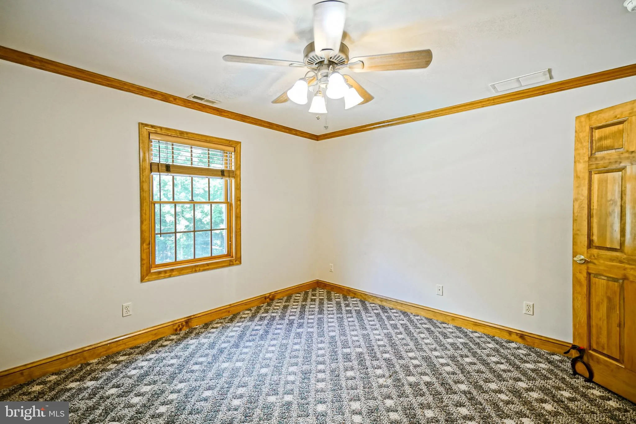 Dagsboro, Delaware 19939, United States, 4 Bedrooms Bedrooms, ,4 BathroomsBathrooms,Residential,Active,164163