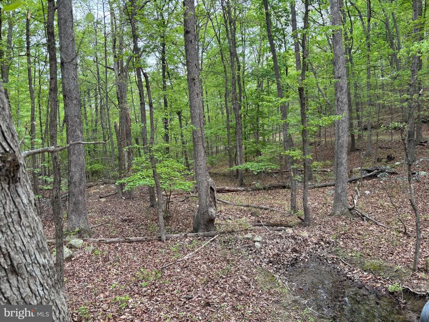 CONTRACTJUST FELL THROUGH!! BE THE NEXT PROUD OWNER OF THIS BEAUTIFUL CORNER LOT WITH LOTS OF IMPROVEMENTS AND A CURRENT CERTIFICATION LETTER FOR A PERC IN APPLE MOUNTAIN WEST. There is a nice driveway with a culvert, almost like a bridge to cross the wet weather stream. The driveway gives you easy access to your homes site and the lot is ready for you to come build your dream home! Nice building site with w/ winter views. There is a certification letter in place for a 3 bedroom alternative septic system. Apple Mountain West has a small lake to enjoy with a pavilion, small playground, beach and you can kayak, canoe and swim from the beach area or floating dock. Living here is a lifestyle your family will enjoy. County records and property survey are available upon request or in the Documents in MLS! Located minutes from I-66 in Front Royal Va. for an easy commute. This lot is mostly wooded for privacy & an abundance of wildlife right outside your front door. This lot is close to the Shenandoah River & the Low Water Ridge which is a public boat landing for kayaking or tubing or more! It is priced to sell and with low inventory in the resale housing out there, why not build your own home? Call today for more info!