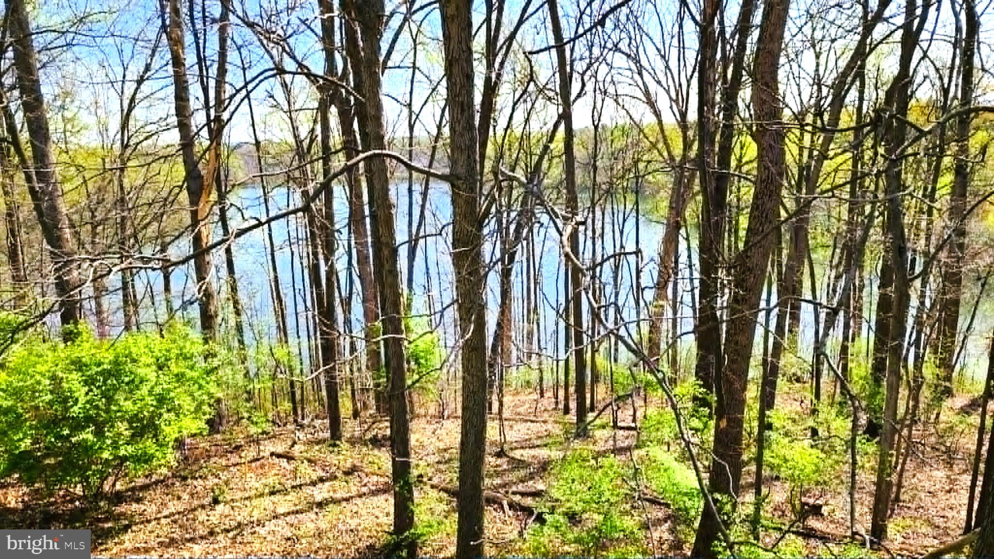 20011 PLACID LAKE TERRACE