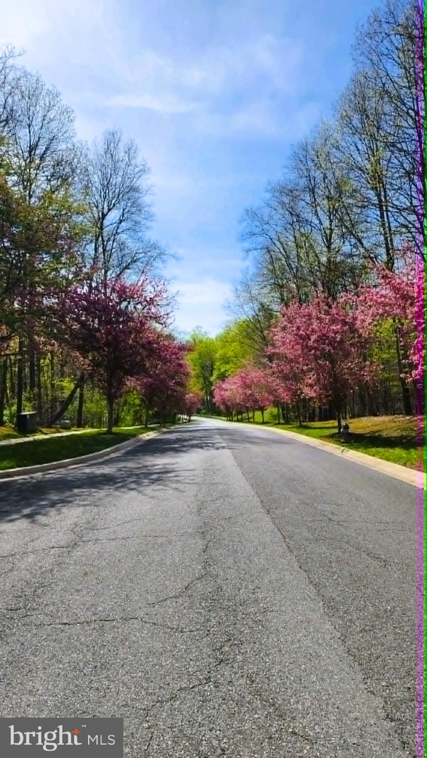 20011 PLACID LAKE TERRACE