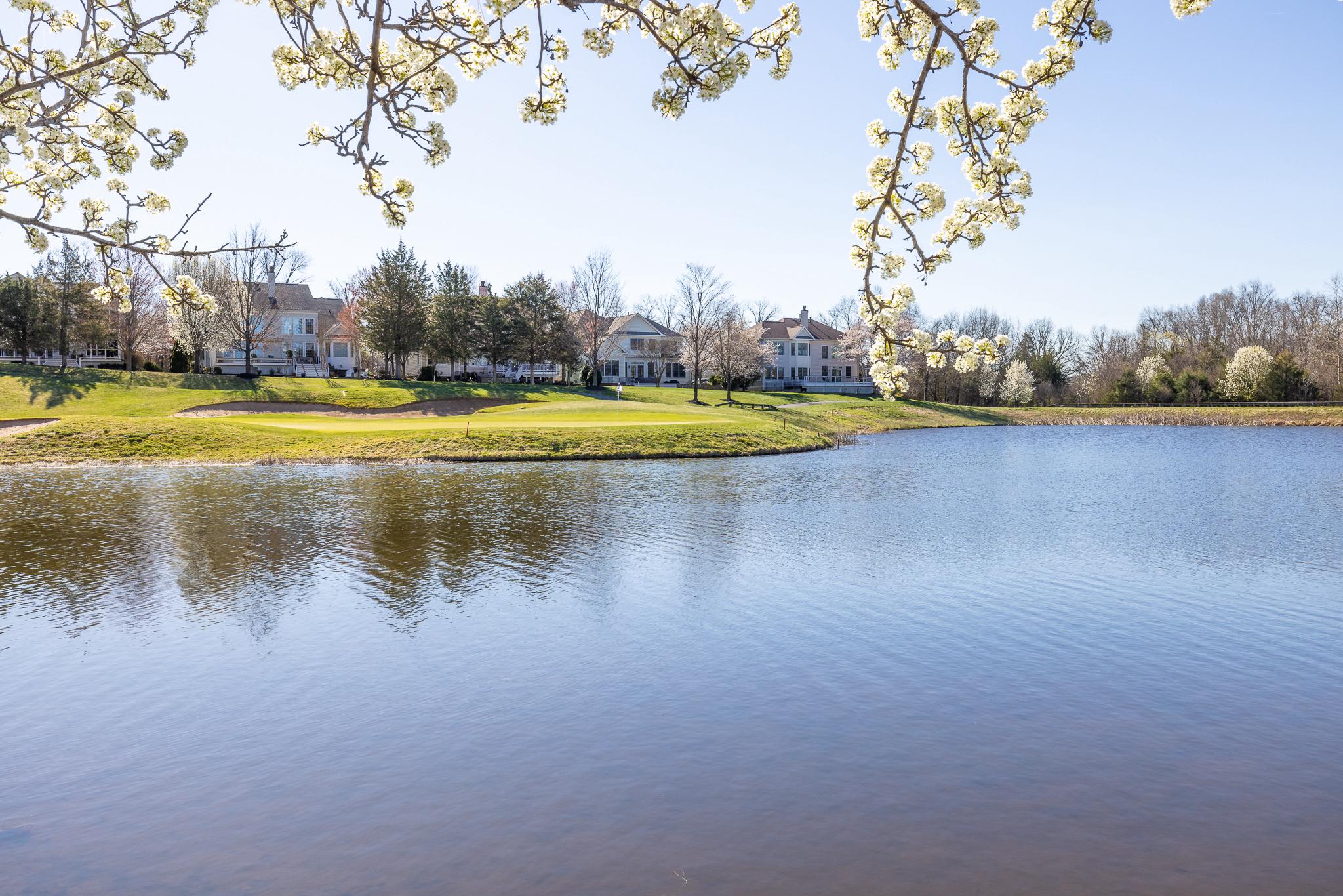 DOMINION VALLEY - Residential