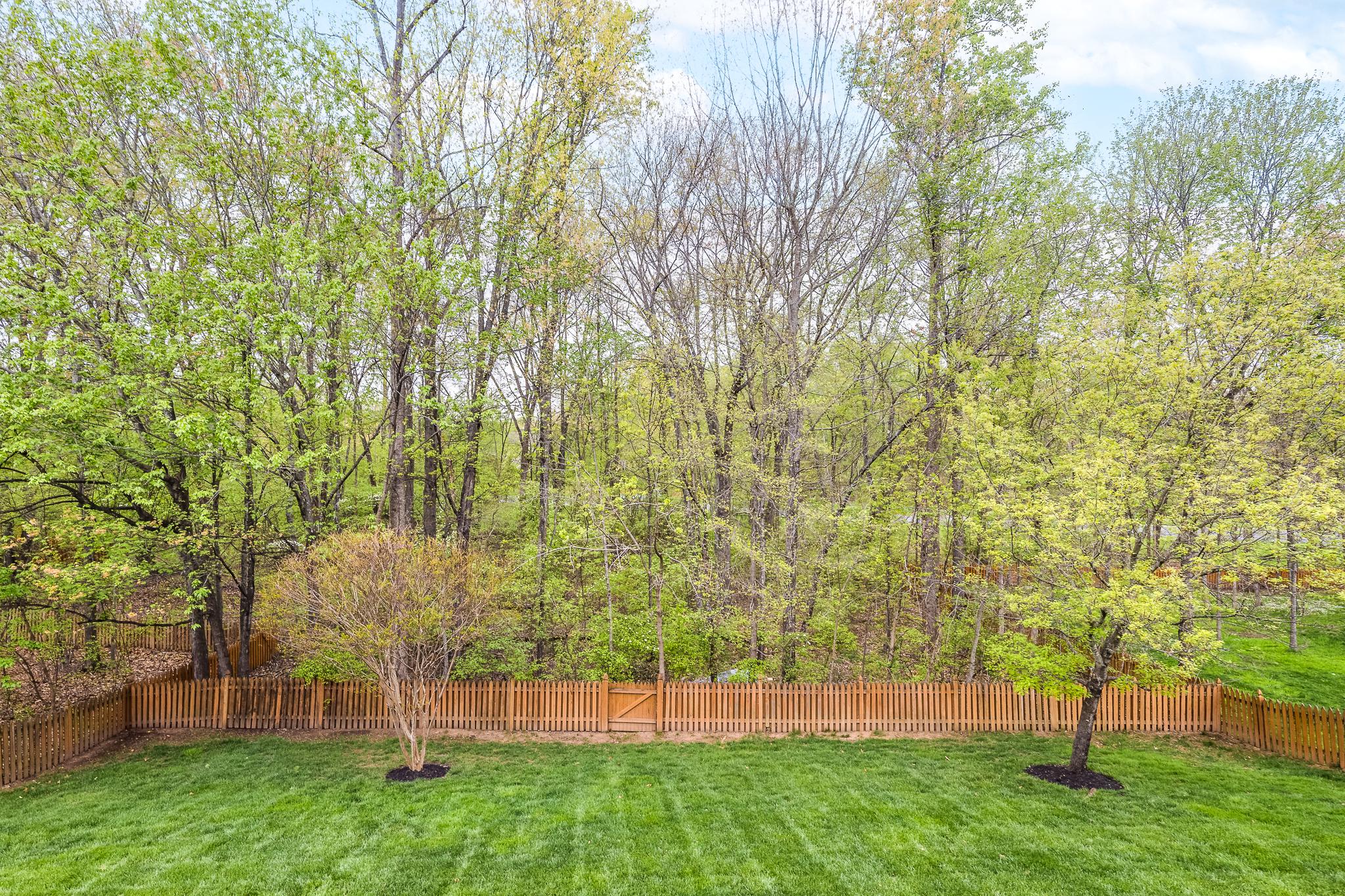 DOMINION VALLEY - Residential