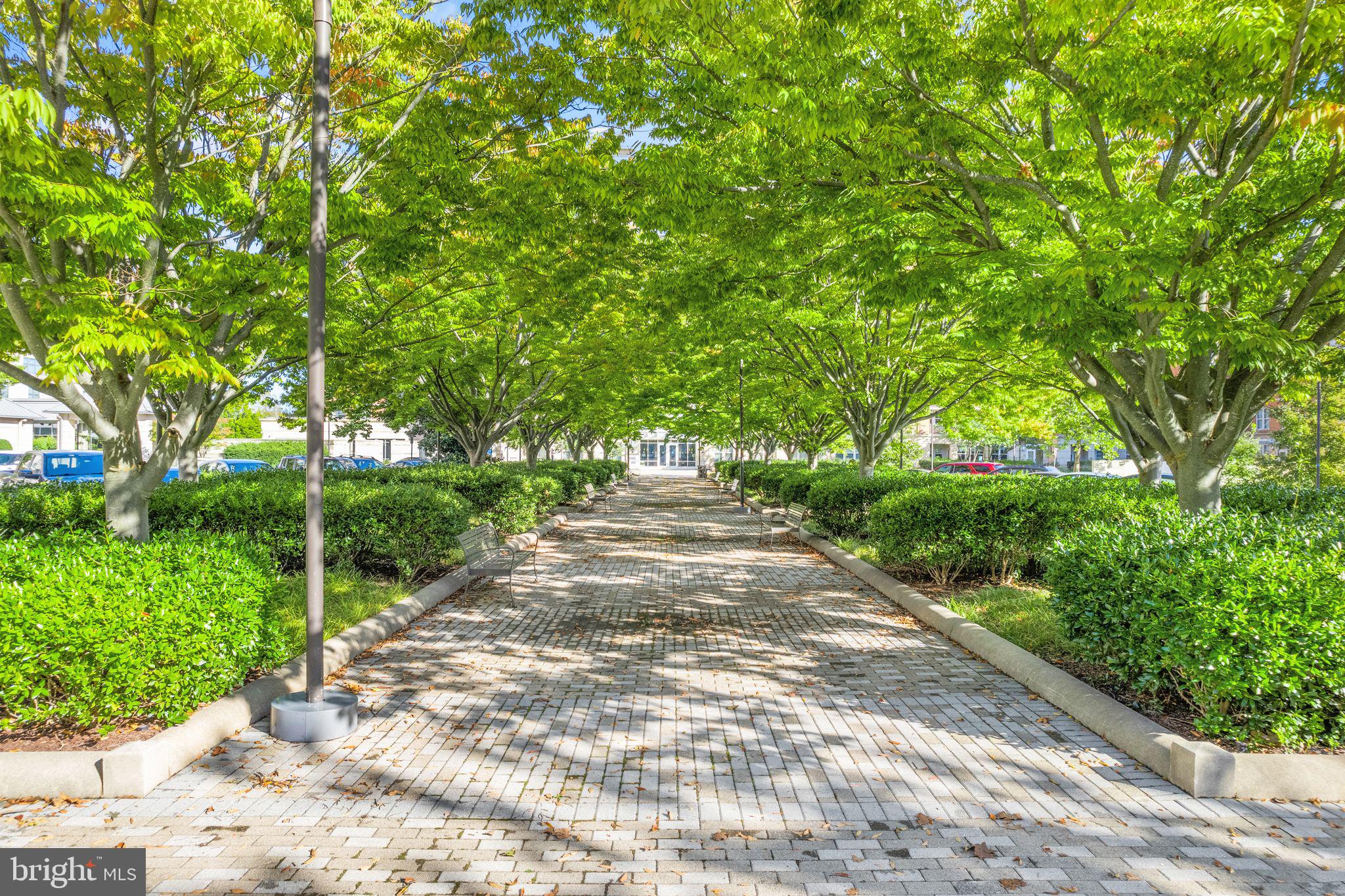 MERCER - Residential