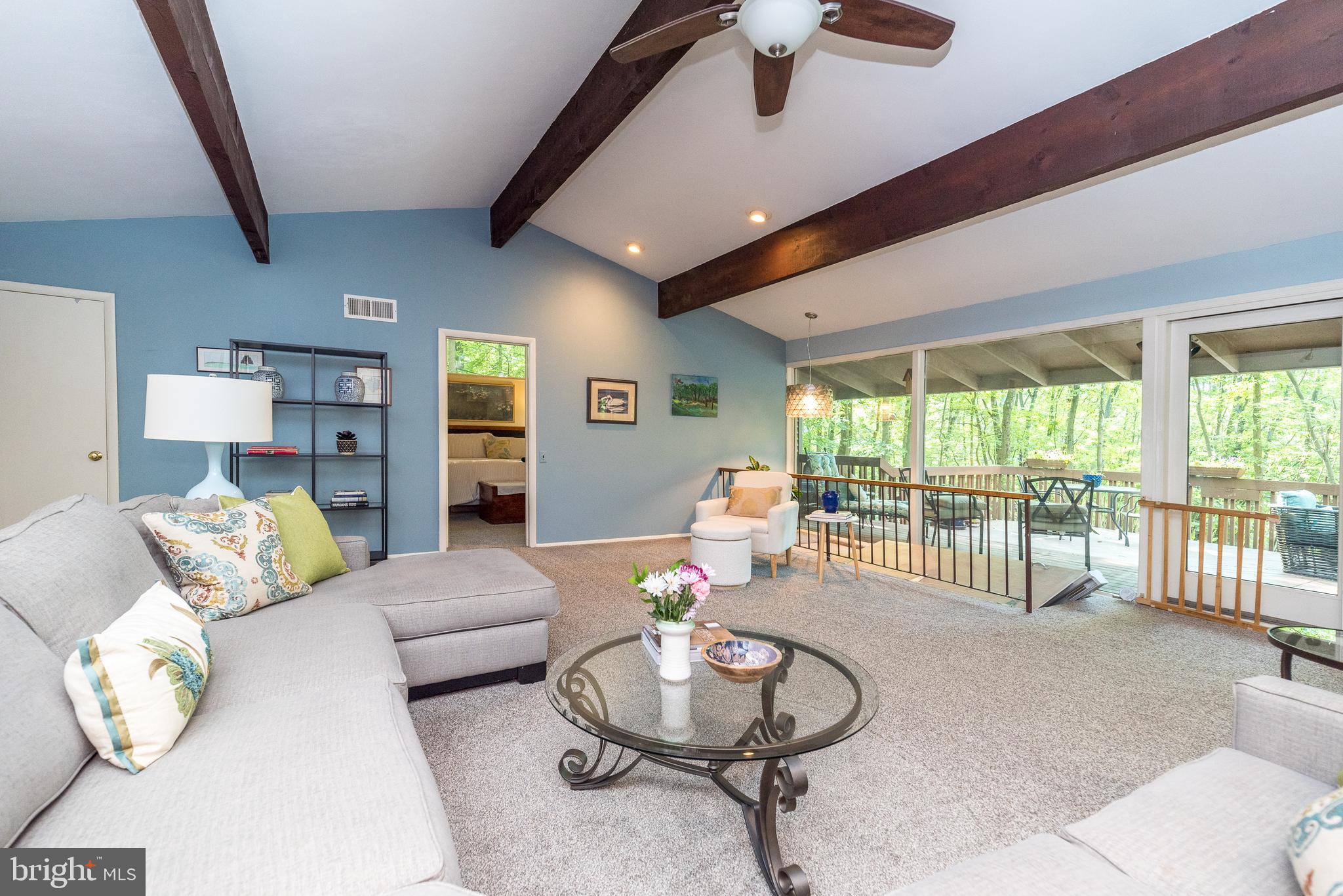 30 FORGE MOUNTAIN