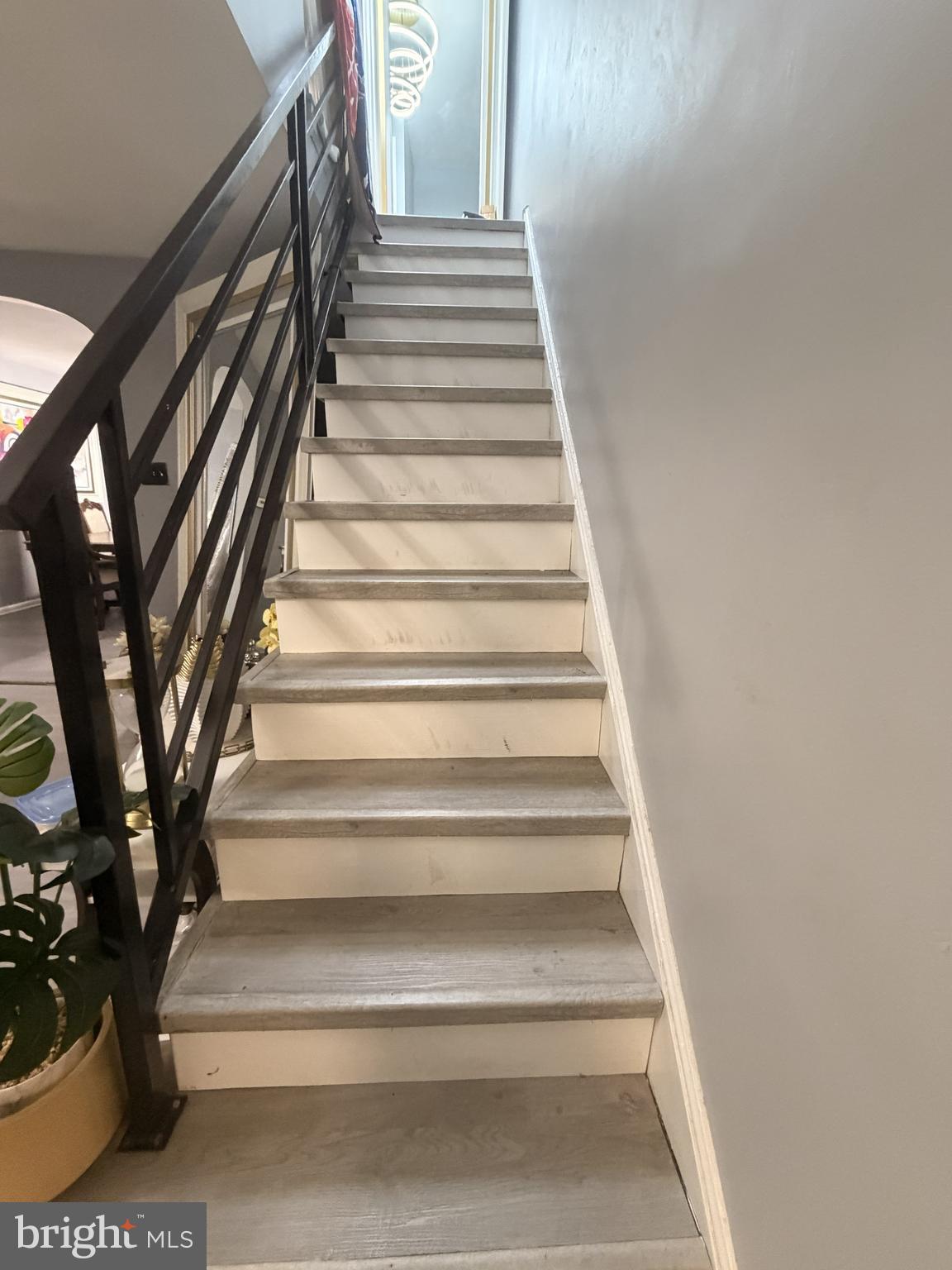 CASTOR GARDENS - Residential