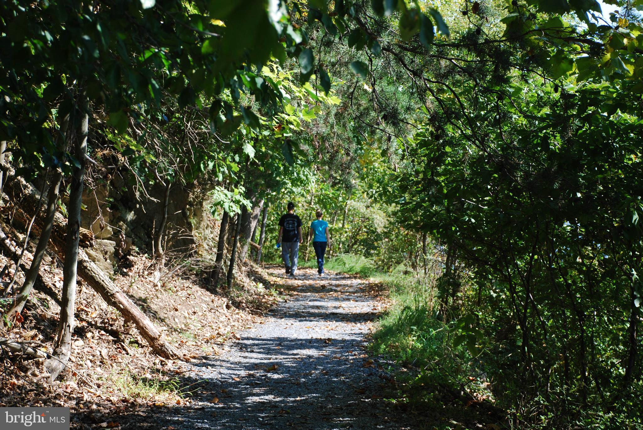 WOODRIDGE AT LAKE LINGANORE - Residential