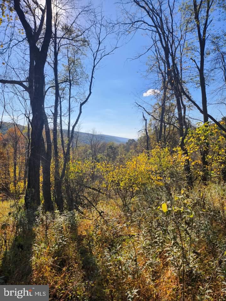 Lots C1-C4 NATURES SYMPHONY ROAD