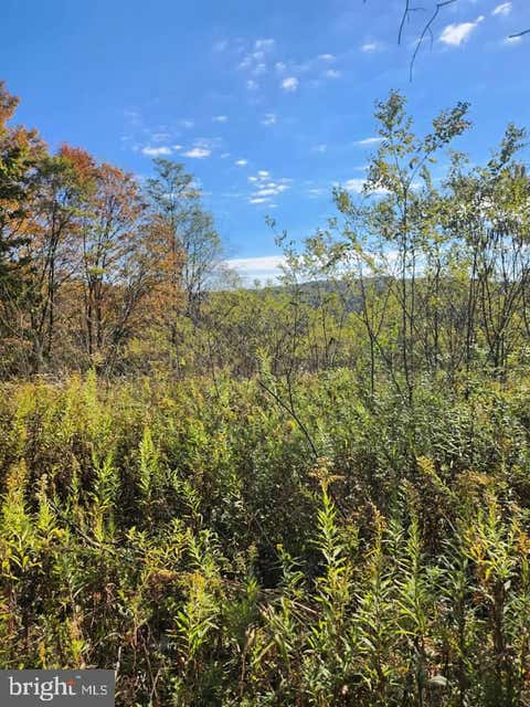 Vacant Land For Sale - LOTS C1-C4 Natures Symphony Road<br/> IMLER, PA 16655