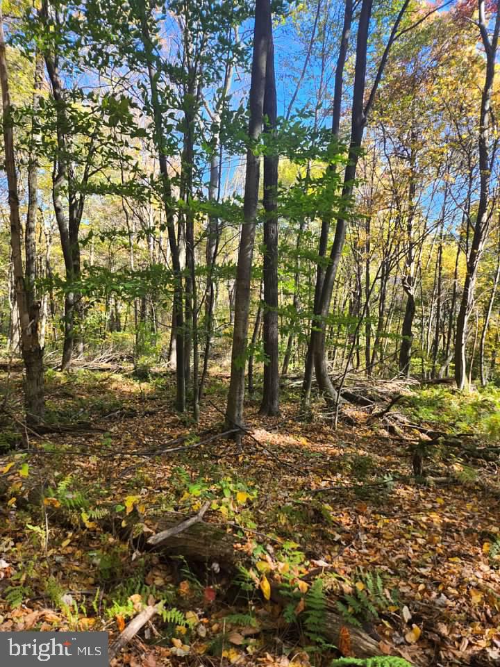 Lots C1-C4 NATURES SYMPHONY ROAD