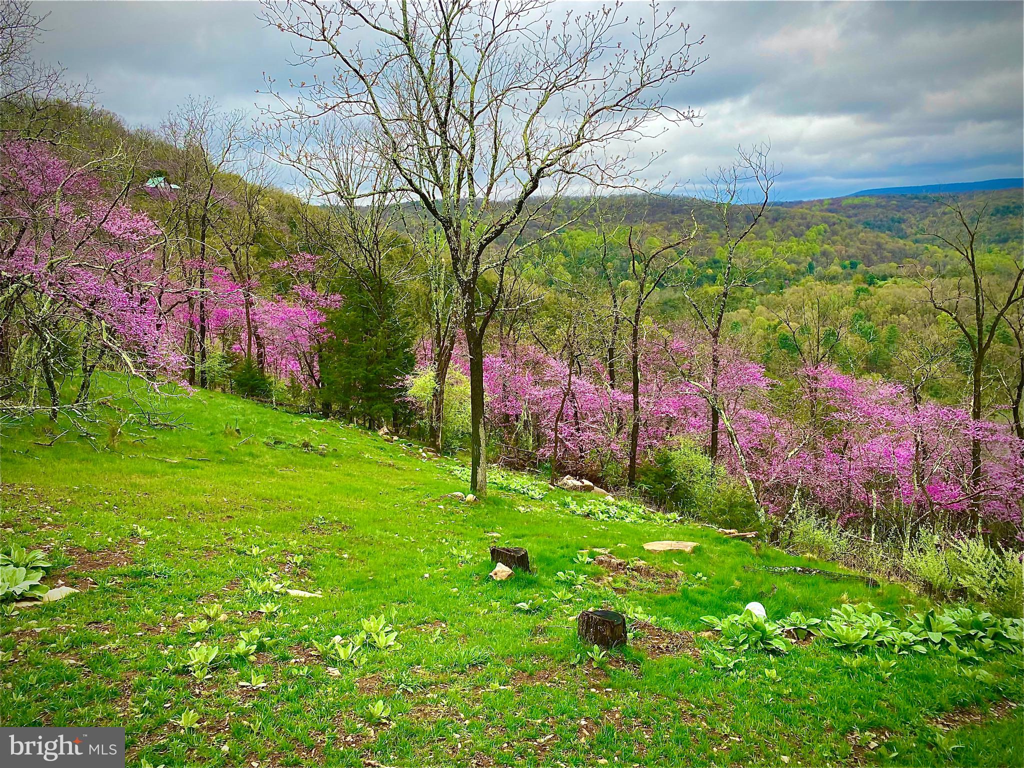 LOST RIVER VALLEY PROPERTY OWNERS ASSOCIATION - Residential