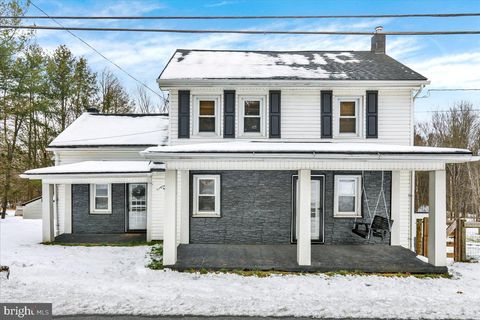 65 MEXICO ROAD PINE GROVE PA 17963