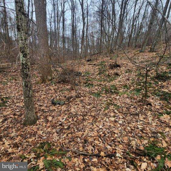 NONE AVAILABLE - Land