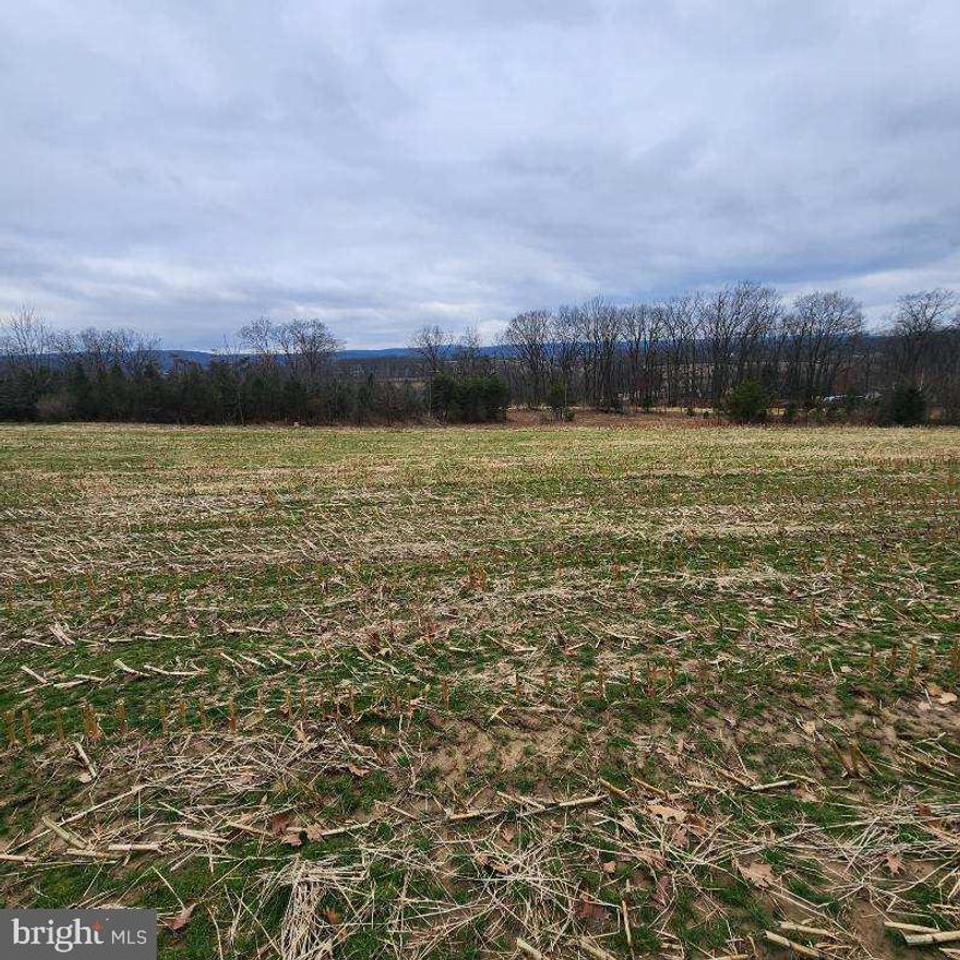 Slightly sloping 14.79 acre lot with a nice stream and great views of Irish Valley. 8 +/- tillable acres and some wooded area as well. Good hunting. Possible home site.