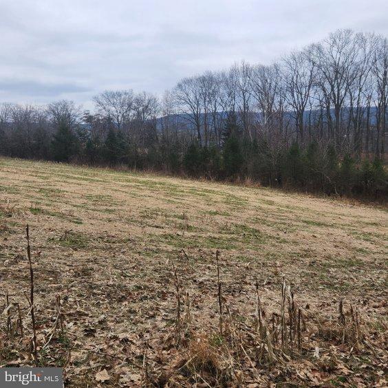 NONE AVAILABLE - Land