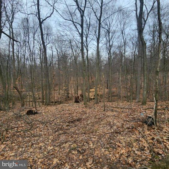 NONE AVAILABLE - Land