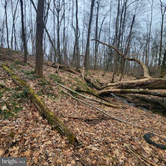 NONE AVAILABLE - Land