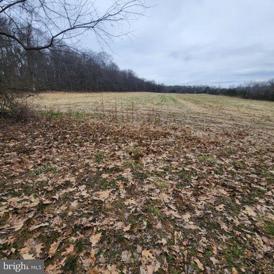 NONE AVAILABLE - Land