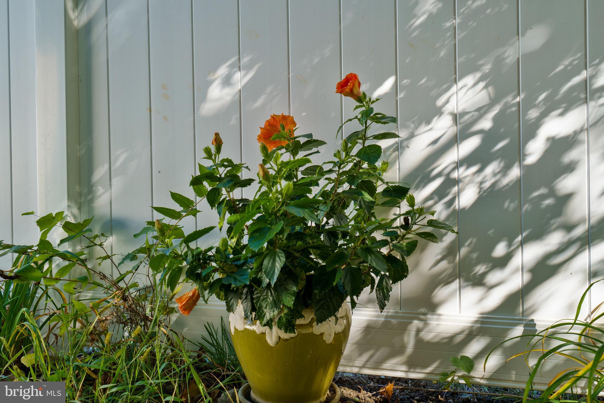 CRESTFIELD - Residential