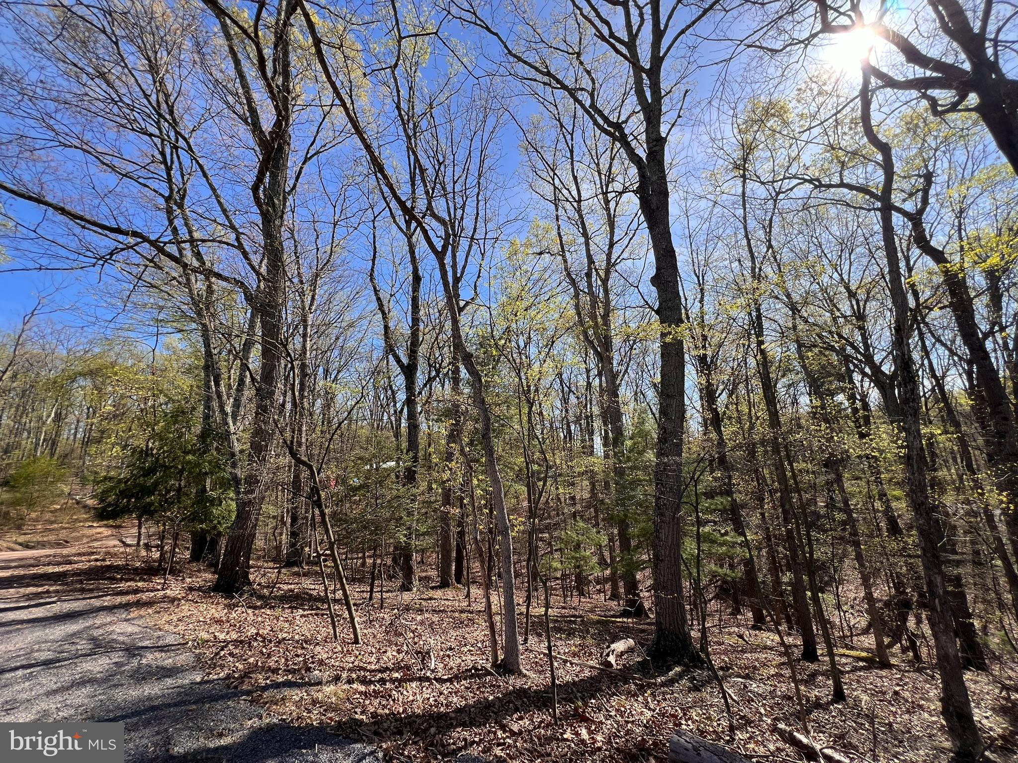 SLEEPY HOLLOW - Land